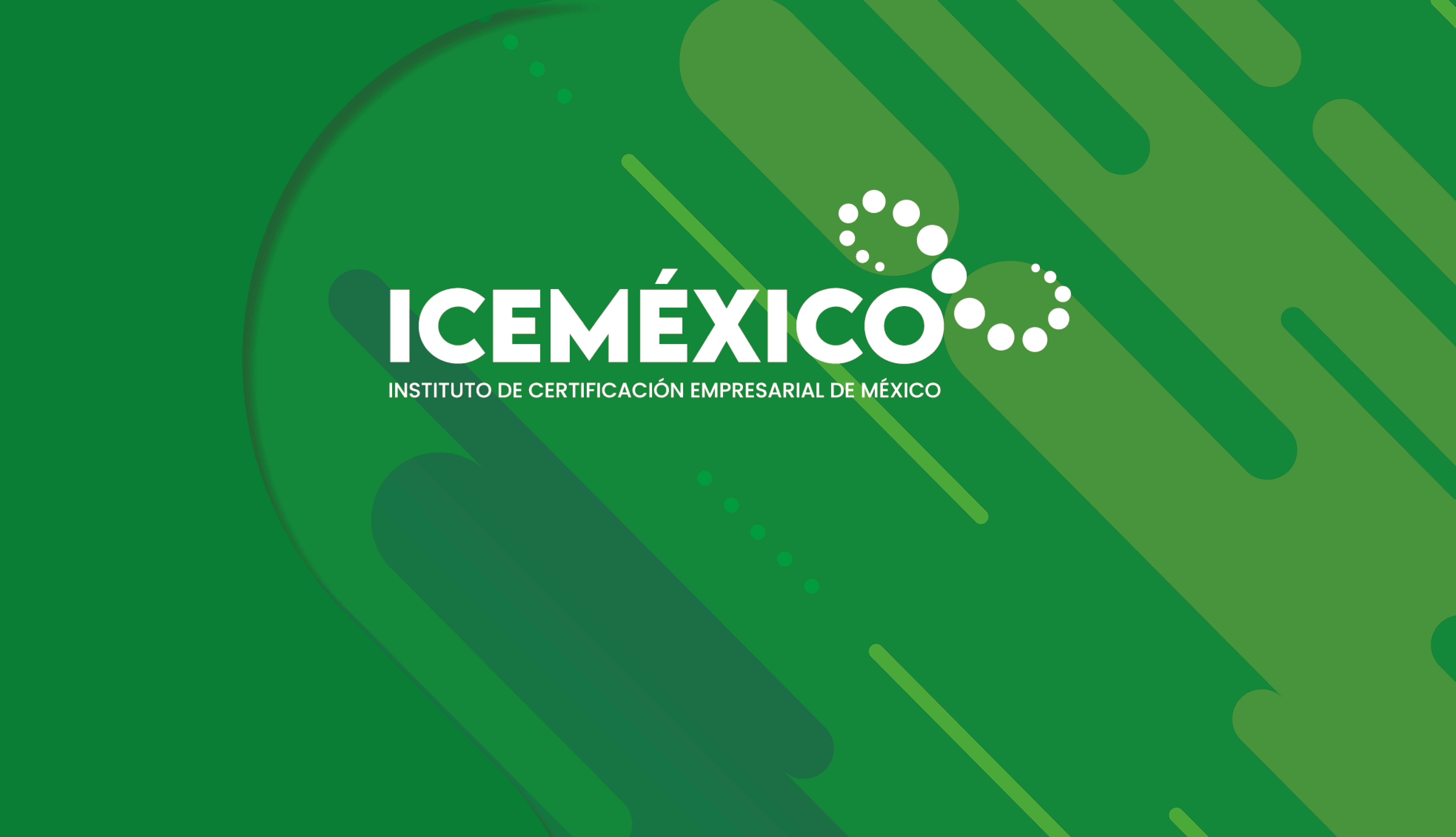 Diseño y Planeación de Negocios Digitales